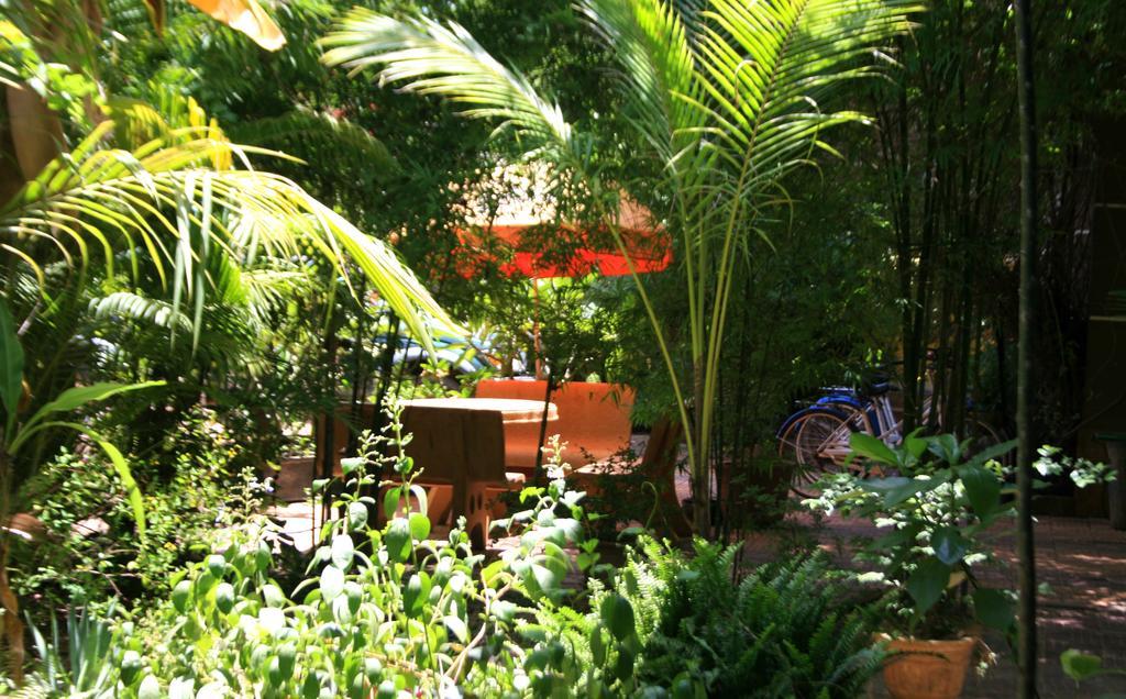 Firefly Guesthouse - The Berlin Angkor سيام ريب المظهر الخارجي الصورة
