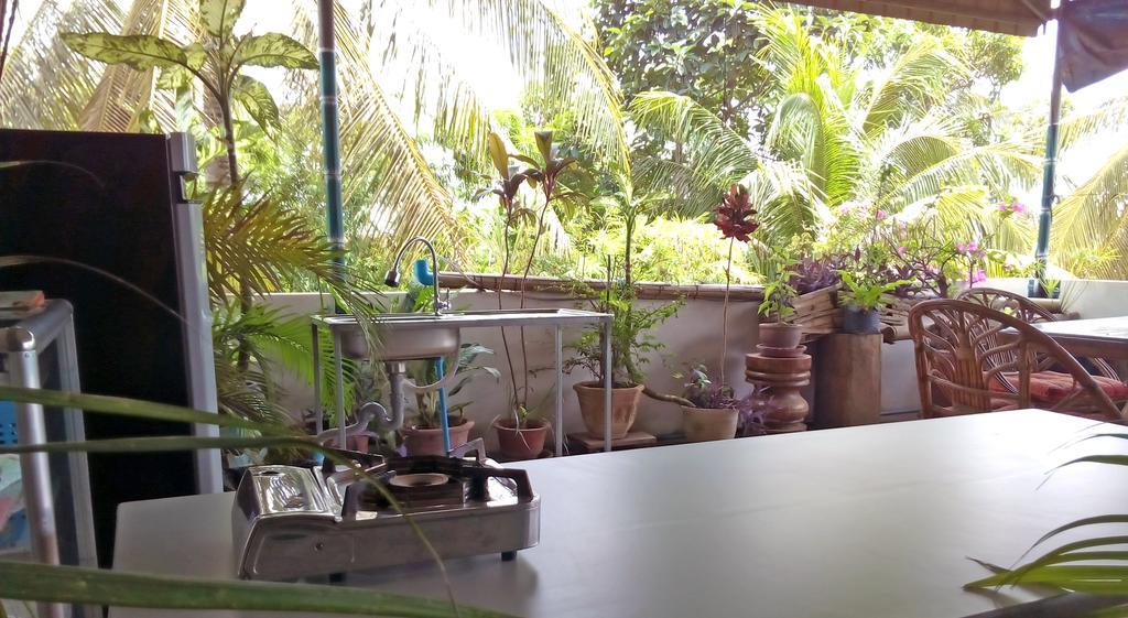 Firefly Guesthouse - The Berlin Angkor سيام ريب المظهر الخارجي الصورة