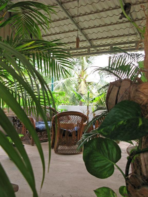 Firefly Guesthouse - The Berlin Angkor سيام ريب المظهر الخارجي الصورة